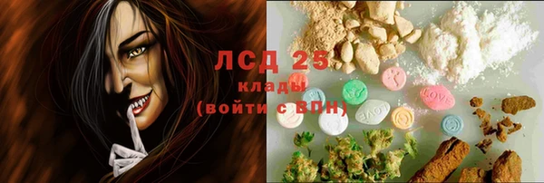 амф Инта