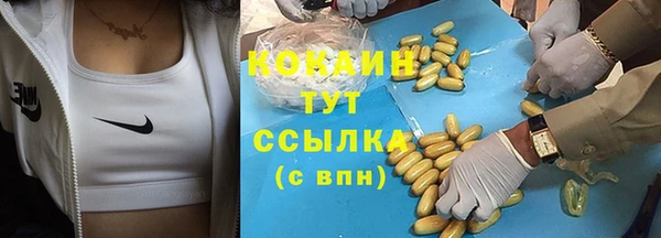 а пвп мука Инсар